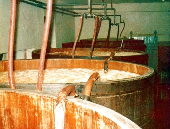 Braubottiche der Mertinger Brauerei im Jahr 1978